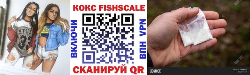 Купить закладки  Ессентуки  Cocaine Fish Scale 