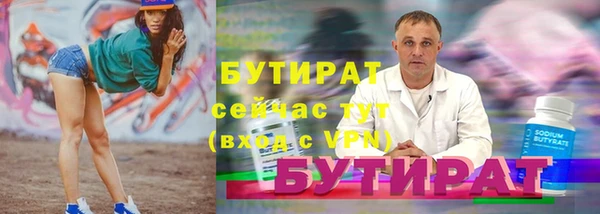 индика Инта