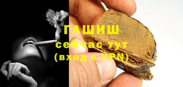 индика Инта