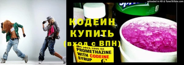индика Инта