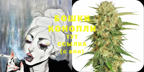 индика Инта