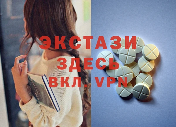 индика Инта
