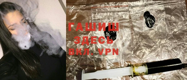 индика Инта
