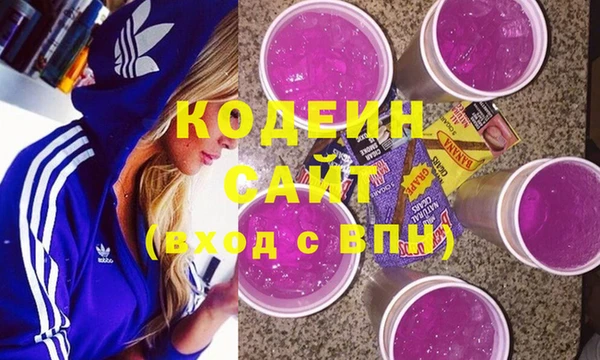 индика Инта