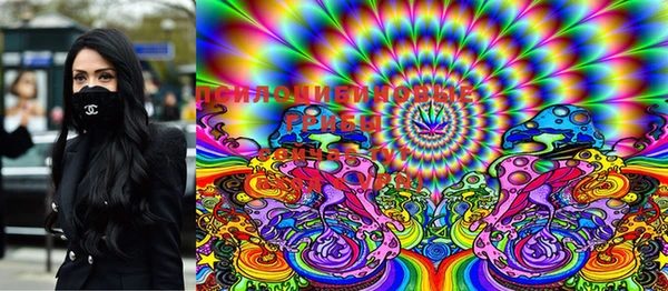 индика Инта