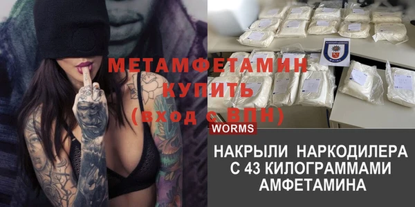 индика Инта