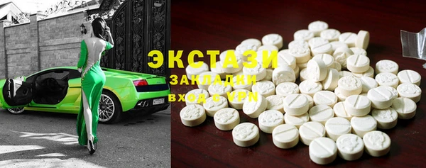 индика Инта