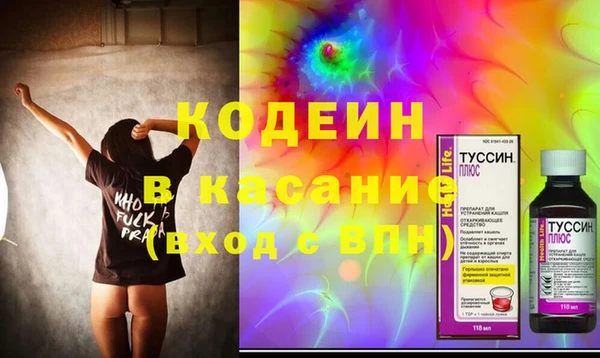 индика Инта