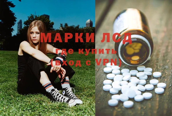 индика Инта