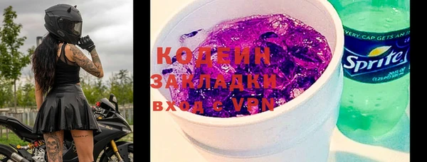 индика Инта