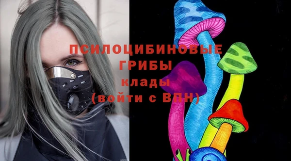 индика Инта