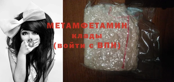 индика Инта