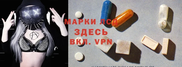 индика Инта