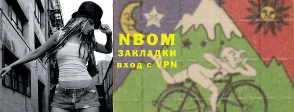 индика Инта