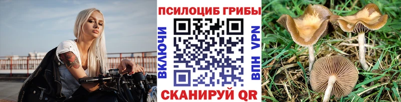 Купить  Ессентуки  Галлюциногенные грибы мицелий 